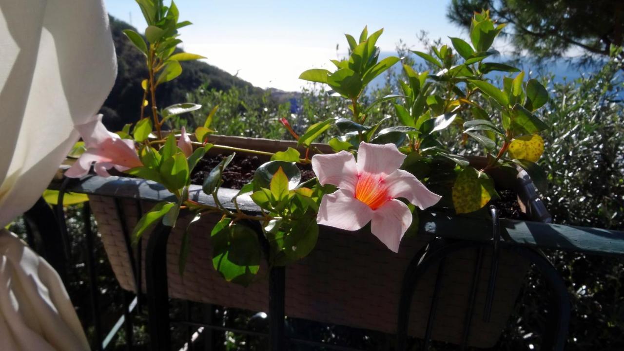 La Casa Dei Limoni Bed & Breakfast Cenova Dış mekan fotoğraf