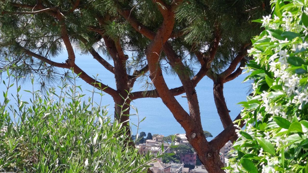 La Casa Dei Limoni Bed & Breakfast Cenova Dış mekan fotoğraf